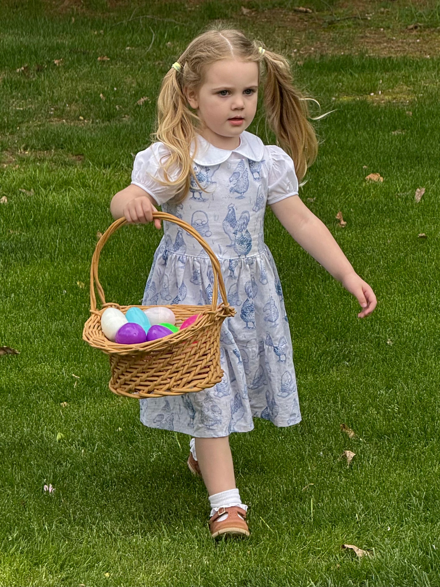 Gabriella Twirl Dress, Blue Chicken